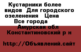 Кустарники более 100 видов. Для городского озеленения › Цена ­ 70 - Все города  »    . Амурская обл.,Константиновский р-н